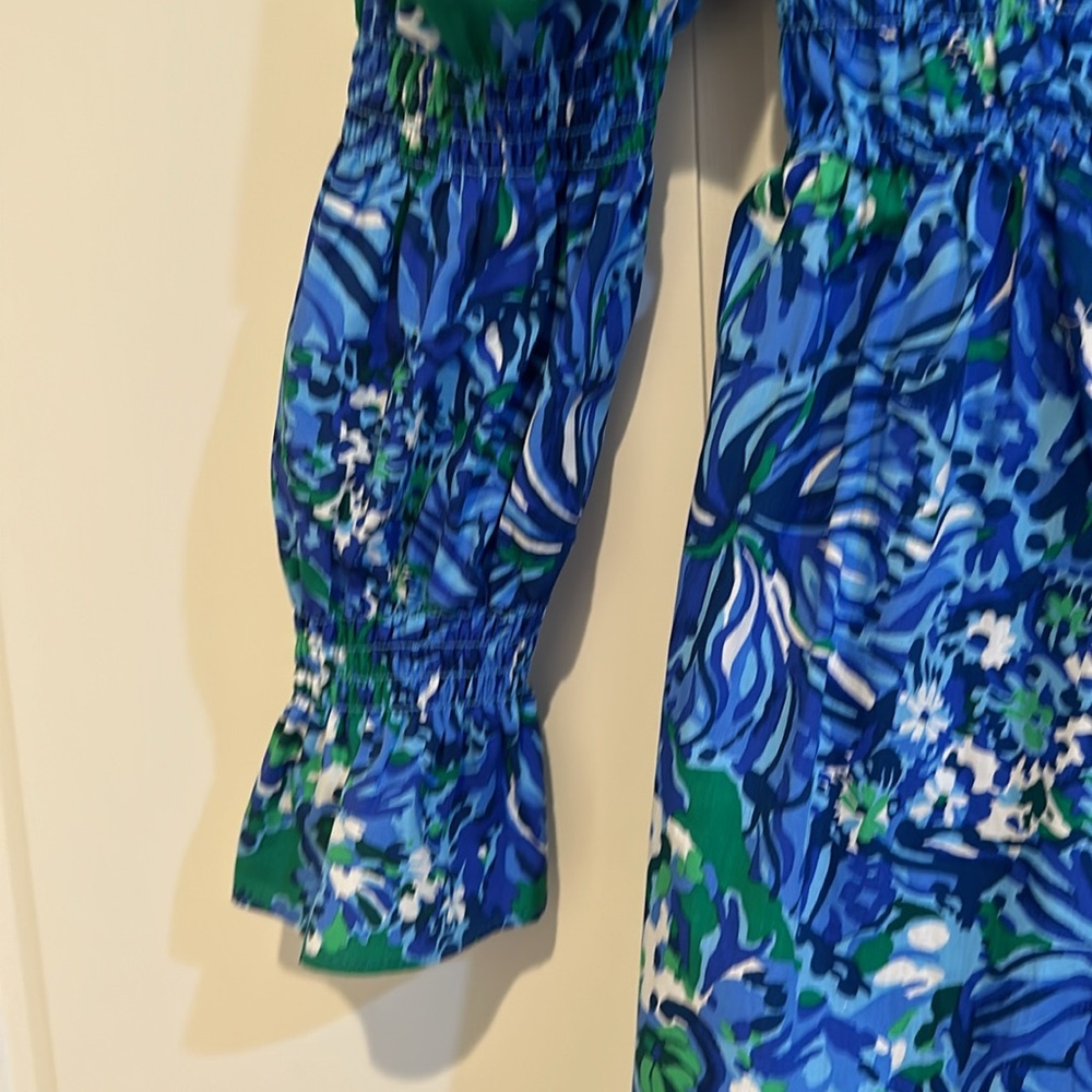 Lilly Pulitzer Dress - Picture 4 of 4